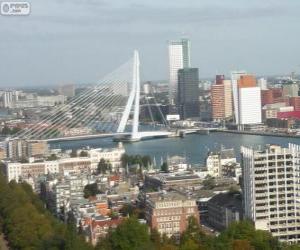yapboz Rotterdam, Hollanda